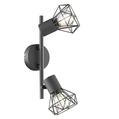 Fischer & Honsel Trendy plafondspotRan 2-lichts - 22265