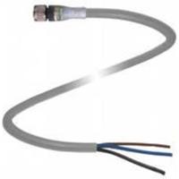 Pepperl+Fuchs 240801-0004 Sensor/actuator connector, geassembleerd Aantal polen (sensoren): 4 5 m 1 stuk(s) - thumbnail