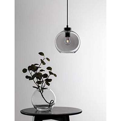 Lyora HanglampPalmer enkel zwart met smoke glas - 9241130