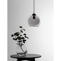 Lyora HanglampPalmer enkel zwart met smoke glas - 9241130 - thumbnail