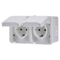 Merten 4074946 AquaStar Compleet Wandcontactdoos met randaarde en klapdeksel spatwaterdicht Polar-wit 2-voudig 1 stuk(s)