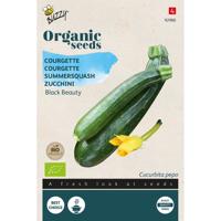 Biologische Courgette Black Beauty - thumbnail