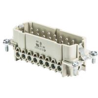 Wieland Electric 70.310.1640.0 Pin-inzetstuk BAS Totaal aantal polen 16 + PE 1 stuk(s) - thumbnail