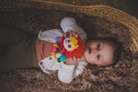 VTech rammelaar dierenvriendjes leeuw 191 cm pluche rood - thumbnail