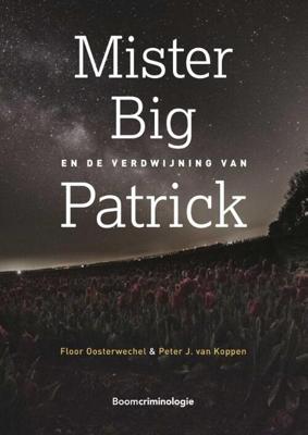 Mister Big en de verdwijning van Patrick (Paperback)