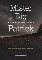 Mister Big en de verdwijning van Patrick (Paperback) - thumbnail