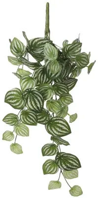 Mica Decorations kunst hangplant peperomia 58cm groen