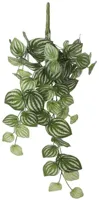 Mica Decorations kunst hangplant peperomia 58cm groen - thumbnail