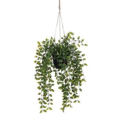 Kunstplant mica ficus hangend in pot groen Kunstplant mica ficus hangend in pot groen