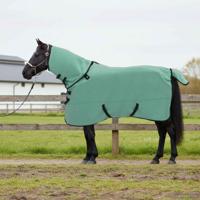 VidaXL Paardendeken speciale groen polyester - thumbnail