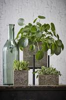 Mica Decorations Rioja Glazen Fles - H50 x Ø15 cm - Groen - thumbnail