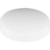 Mentor 2510.0300 Verlichtingskap Helder Geschikt voor Reflector 40 mm - thumbnail