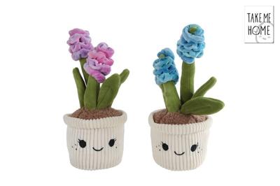 Take Me Home plant pluche hyacint 2ass 29c m