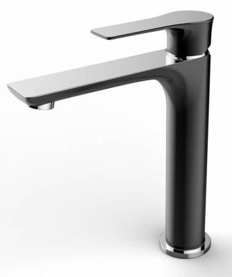 Praxi Wastafelmengkraan Hoog Zwart Chroom Aqua Splash