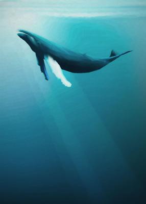 Komar Into Adventure Fotobehang Whale - IAX4-0045