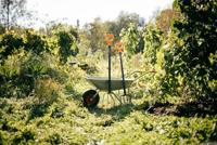 Fiskars 1070673 Spadevork D-greep - thumbnail