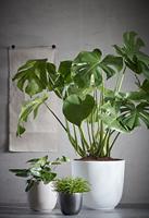 Bloempot Pot rond es/19 tusca 20 x 22.5 cm wit Mica - Mica decorations - thumbnail