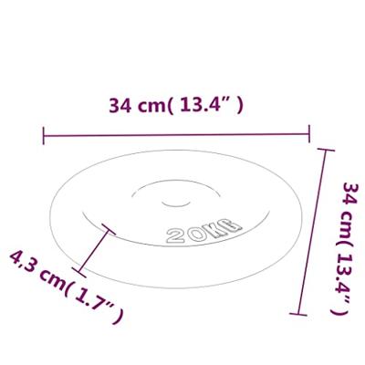 VidaXL Halterschijf 20 kg gietijzer
