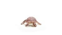 Schleich 14876 Karetschildpad - thumbnail