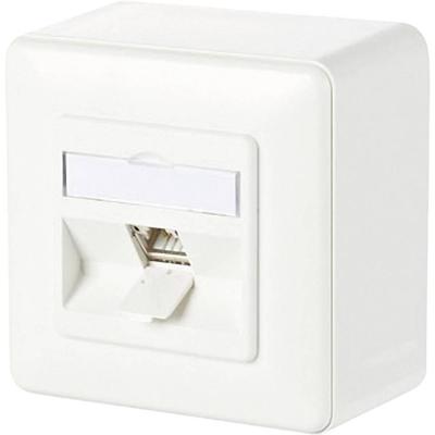 Metz Connect 130B11D10002-E Netwerkdoos Opbouw (op muur) CAT 6A 1 poort Zuiver wit Metz Connect 130B11D10002-E Netwerkdoos Opbouw (op muur) CAT 6A 1 poort Zuiver wit