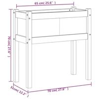 VidaXL Plantenbakken met poten 2 st massief grenenhout - thumbnail