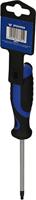 Brilliant Tools BT034908 Torx-schroevendraaier Grootte T 25 Koplengte: 100 mm 1 stuk(s) - thumbnail