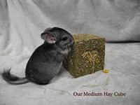 ROSEWOOD NATURALS IK HOU VAN HOOI KNAAG KUBUS - thumbnail