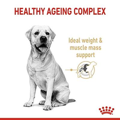 Royal Canin Labrador Retriever Adult 5+ hondenvoer voor honden vanaf 5 jaar 12kg
