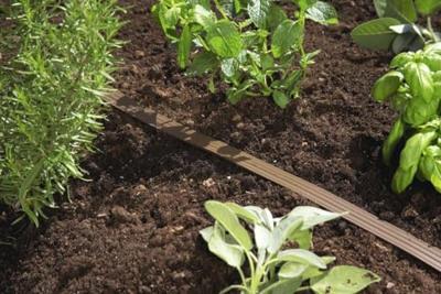 GARDENA 01999-20 neu Sproeislang 15 m 15 m² (max.) - thumbnail