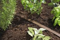 Gardena Sproeierslang 15m Bruin met Directe Aansluiting - 10j Garantie, Efficiënt & Waterbesparend - thumbnail