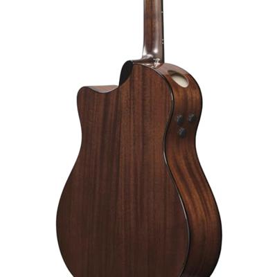 Ibanez AAM700CE Platinum Collection Natural High Gloss elektrisch-akoestische westerngitaar met hardshell case