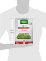 VILMORIN graszaad - 2 in 1 universele herzaaibehandeling 1 kg doos - Zeer snelle hergroei - thumbnail