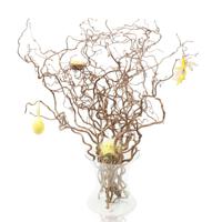 Paastakken - thumbnail