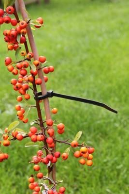 Kabelbinders nylon 25 stuks 20 cm Kabelbinders nylon 25 stuks 20 cm