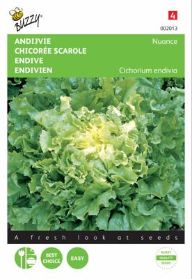 Andijvie Nuance