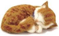 Perfect Pet Zzz zzz soft oranje kat - thumbnail