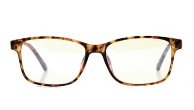 Leesbril INY Bluebreaker-Havanna -+2.00