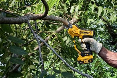 DeWALT DCMPP568P1 Accu snoeischaar 18V XR 5.0Ah