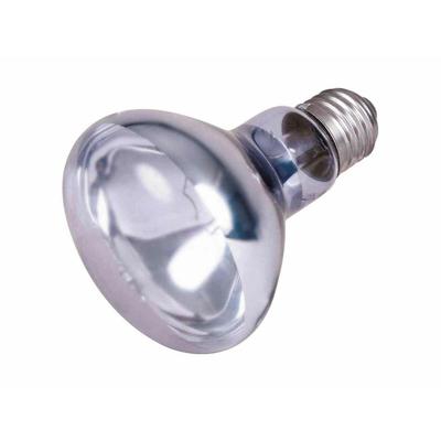 TRIXIE REPTILAND WARMTELAMP NEODYMIUM 100 WATT 8X8X10,8 CM
