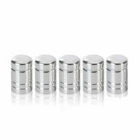 Lifetime Autoventieldop Zilver - 5 stuks - thumbnail