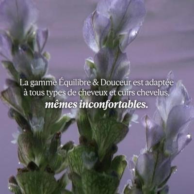 L'Occitane Essential Oils Gentle Conditioner 250ml