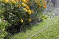 Gardena Sproeierslang 15m Bruin met Directe Aansluiting - 10j Garantie, Efficiënt & Waterbesparend - thumbnail