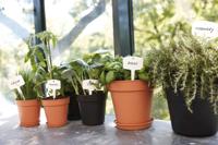 Elho Green Basics Plantenschotel Mild Terra Ø22cm - thumbnail