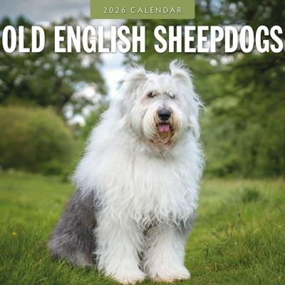 Bobtail / Old English Sheepdog Kalender 2026