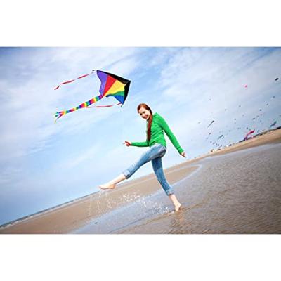 Ecoline Eenlijns Vlieger Simple Flyer Rainbow Spanwijdte 1200 mm Geschikt voor windsterkte 2 - 5 bft