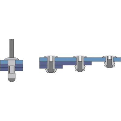 Bralo Popnagel multigrip 4,8 x 10,5 mm (250 stuks)