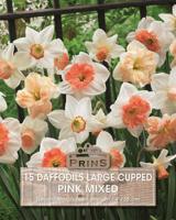 Prins Narcis daffodils large cupped pink mix 15 bollen - thumbnail