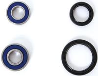 ALL BALLS Racing wiellagerset wheel bearing sets 25-106 complete with simmerrings - thumbnail