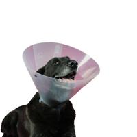 Lampenkap voor honden KVP Betsy (33-40 cm) - thumbnail