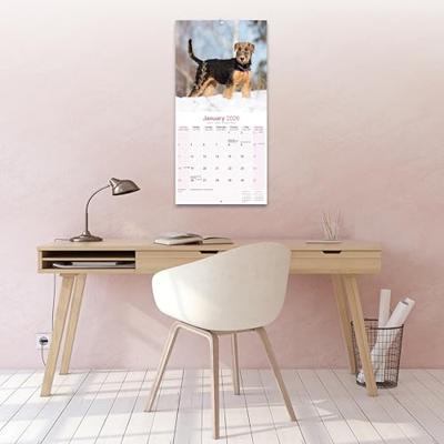 Airedale Terrier Kalender 2026 Airedale Terrier Kalender 2026